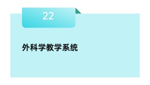 外迷信讲授体系