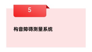构音妨碍丈量体系