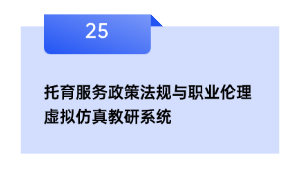 托育办事政策律例与职业伦理假造仿真教研体系