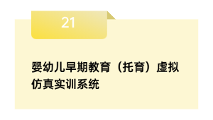 婴幼儿初期教导（托育）假造仿真实训体系