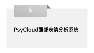 PsyCloud脸部心情阐发体系